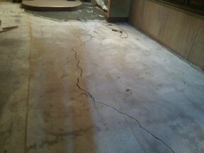 Before画像