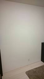 Before画像