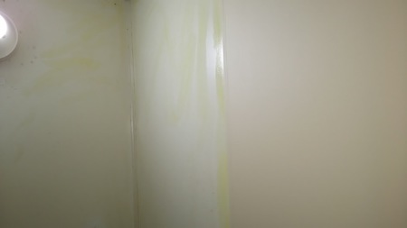 Before画像