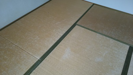 Before画像