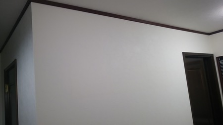 Before画像