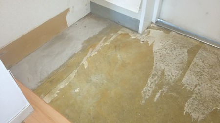 Before画像