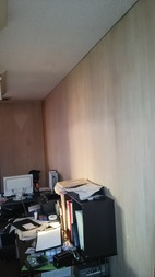 Before画像