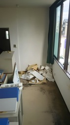 Before画像