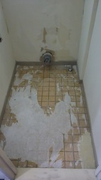 Before画像