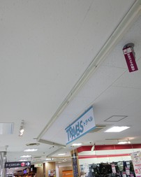 Before画像