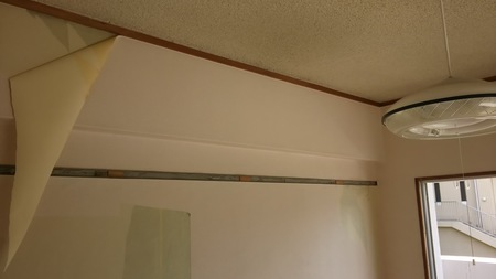 Before画像