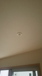 Before画像
