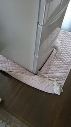 Before画像