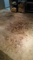 Before画像