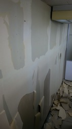 Before画像