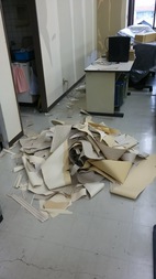 Before画像