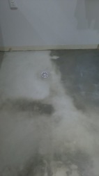 Before画像