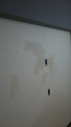 Before画像