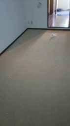 Before画像