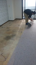 Before画像