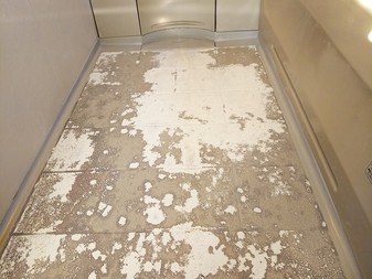 Before画像