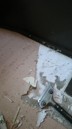 Before画像