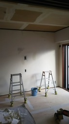 Before画像