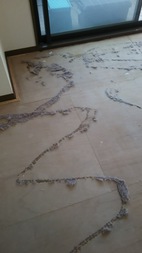 Before画像