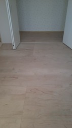 Before画像