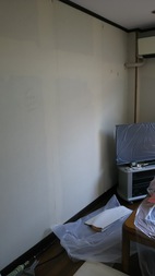 Before画像