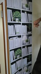 Before画像