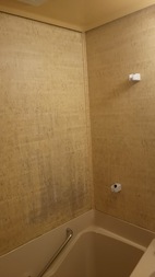 Before画像