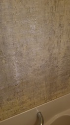 Before画像
