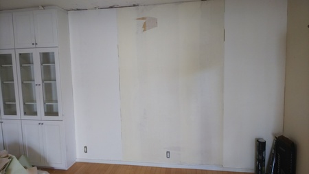 Before画像