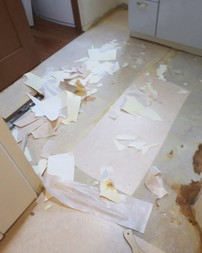 Before画像