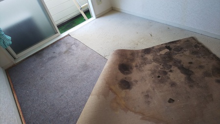 Before画像