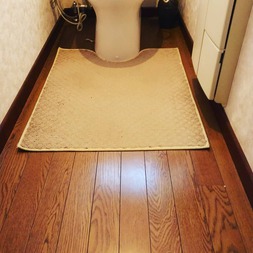 Before画像