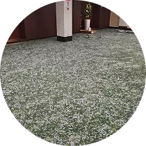 カーペット
