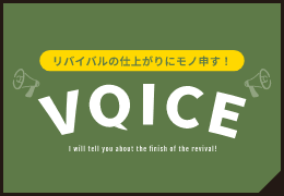 VOICE